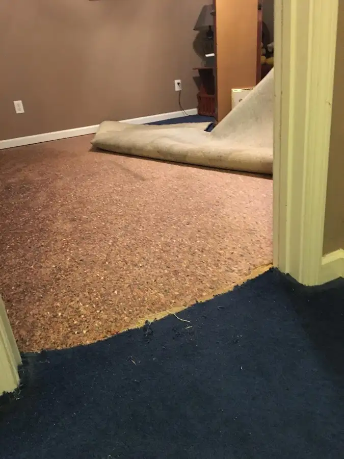Carpet pad removal revealing water damage during Drying & Dehumidification in Birdsboro