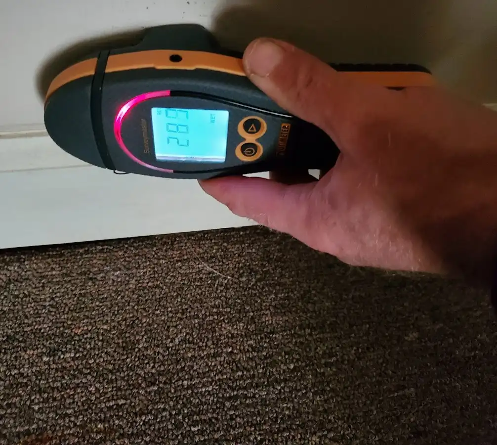 Moisture detection at baseboard during Burst Pipe Cleanup in Birdsboro